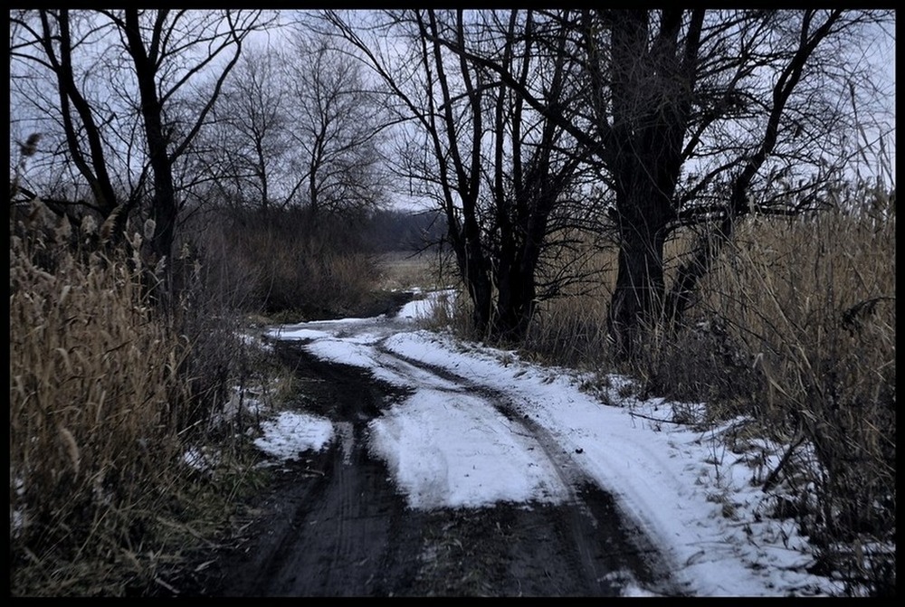 Фотографія обветшалая зима / Настя / photographers.ua