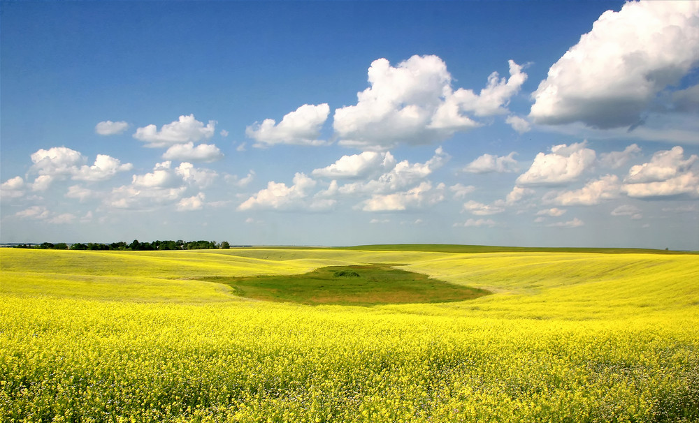 Фотографія Стяг / Александр Соленцов / photographers.ua
