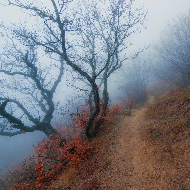 Фотографія Туманная тропинка в Долину Привидений / Олег Сорокин / photographers.ua