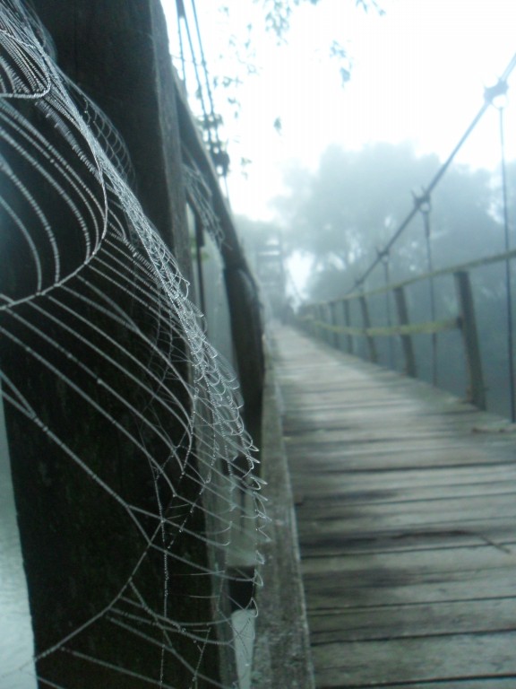 Фотографія Міст в тумані / Саша Купцов / photographers.ua