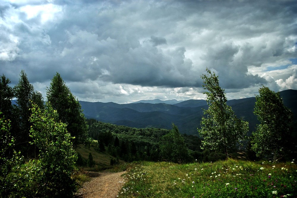 Фотографія Тропа / Вертелецкая Елена / photographers.ua