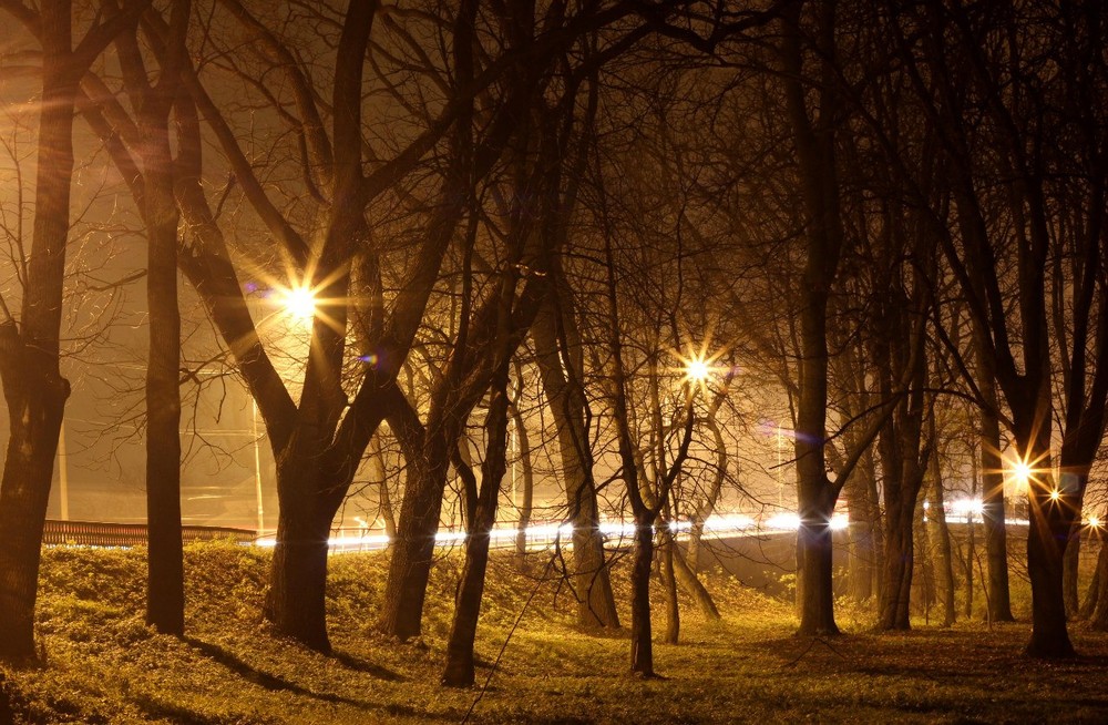 Фотографія місто у нічному освітленні / Таня і Назар / photographers.ua