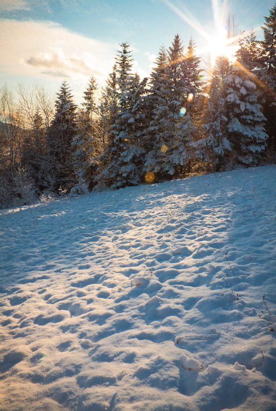 Фотографія Нарешті зима;) / andrew konyk / photographers.ua