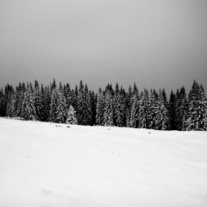 Фотографія grey/black/white / andrew konyk / photographers.ua