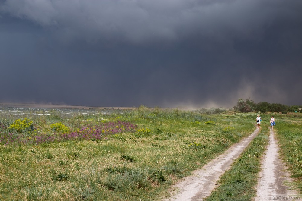 Фотографія шторм вот-вот догонит / Ольга Эванс / photographers.ua