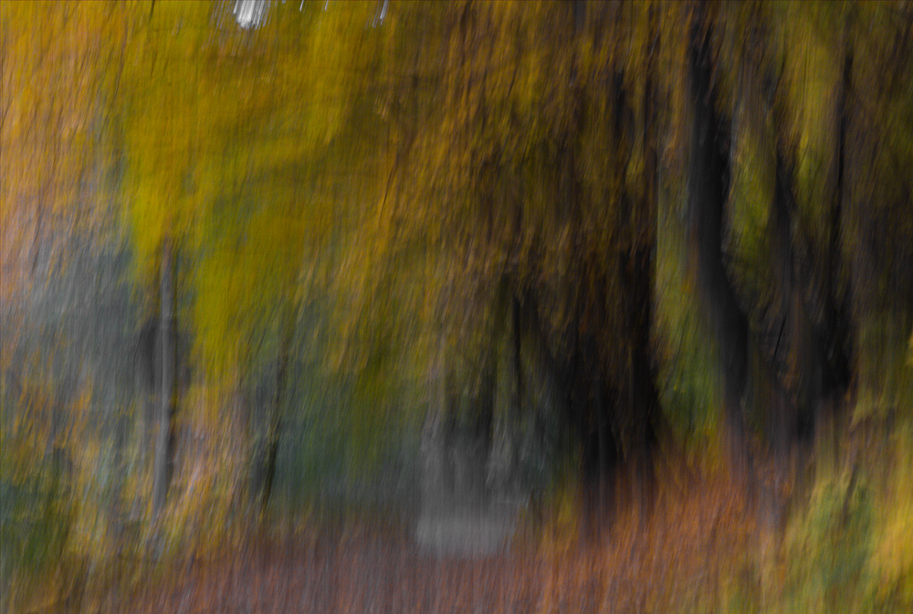 Фотографія "Autumn @ online" / DarkSide / photographers.ua