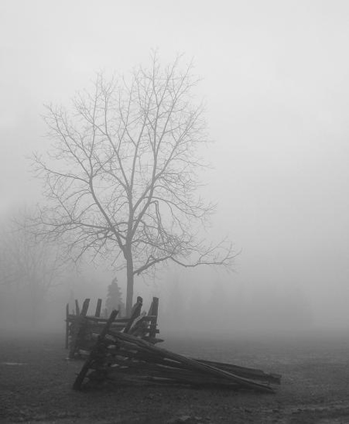 Фотографія ***Fog*** / Dnipro / photographers.ua