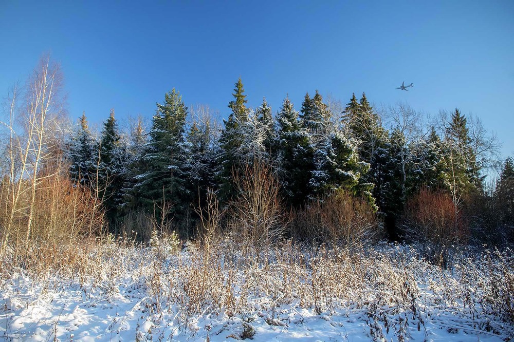 Фотографія Летел над лесом самолет / Павлюк Александр / photographers.ua
