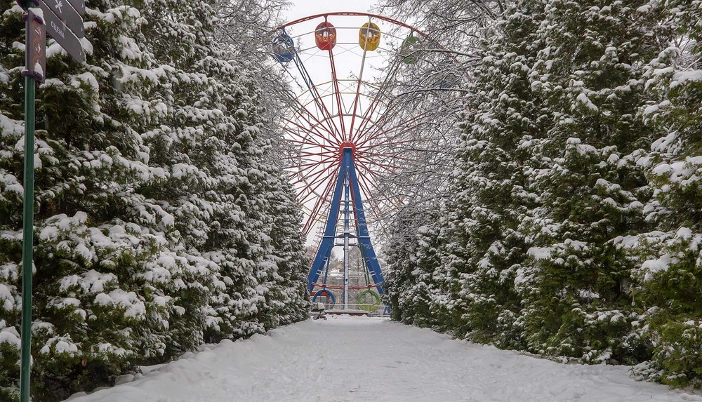 Фотографія В зимнем парке / Павлюк Александр / photographers.ua
