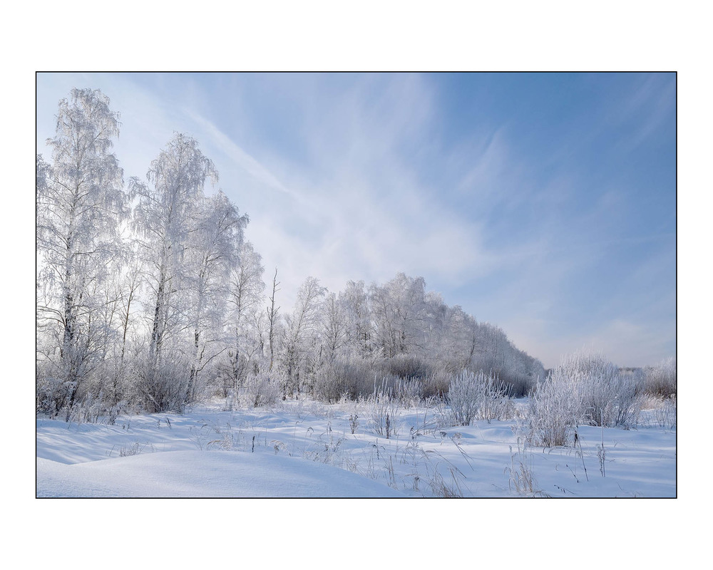 Фотографія Про зиму / Павлюк Александр / photographers.ua