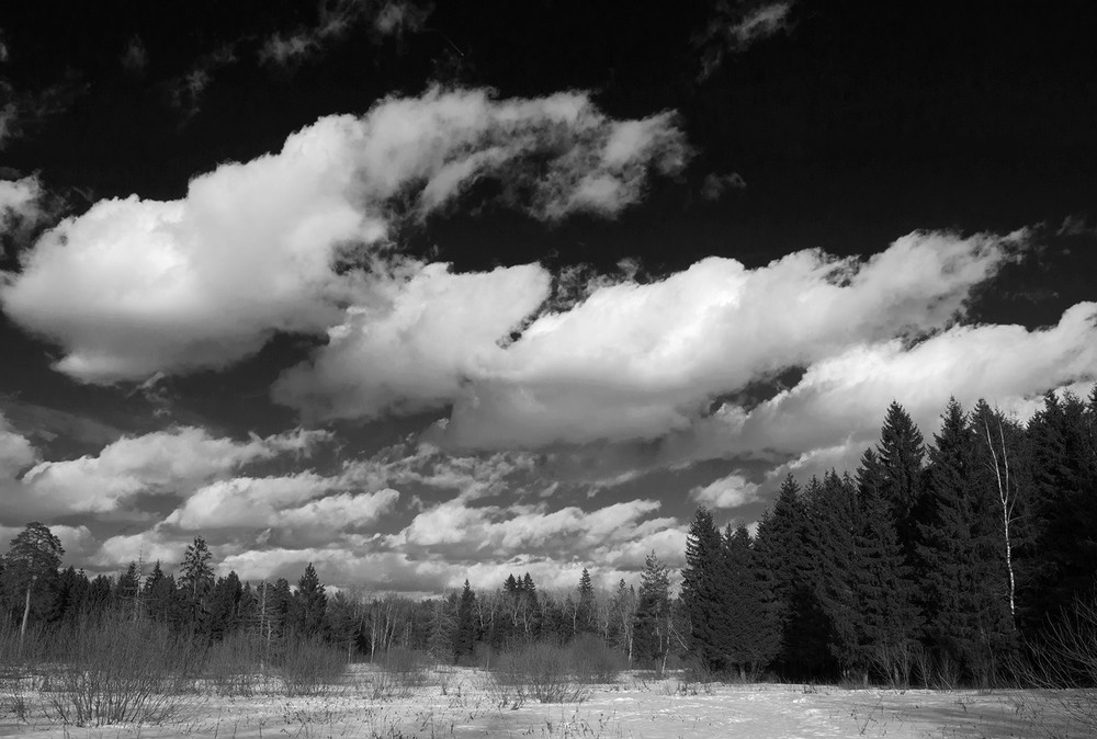 Фотографія Низкие облака / Павлюк Александр / photographers.ua