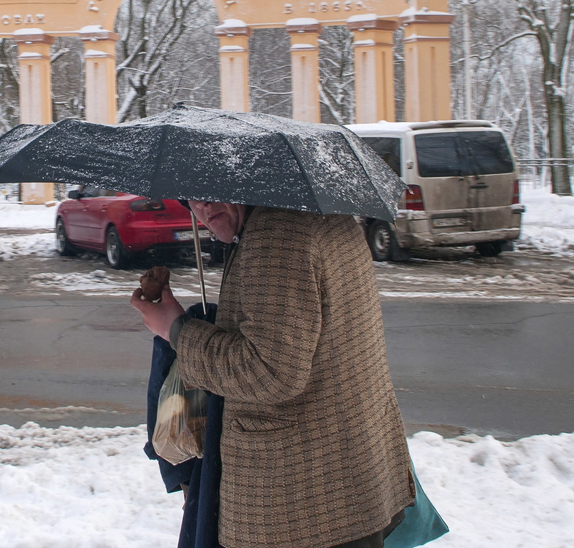 Фотографія Бродяга / Павлюк Александр / photographers.ua