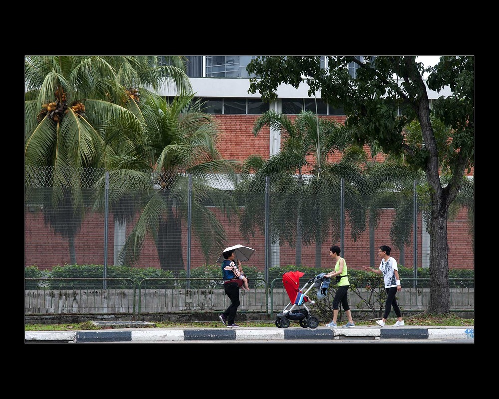 Фотографія В дождливом Сингапуре / Павлюк Александр / photographers.ua