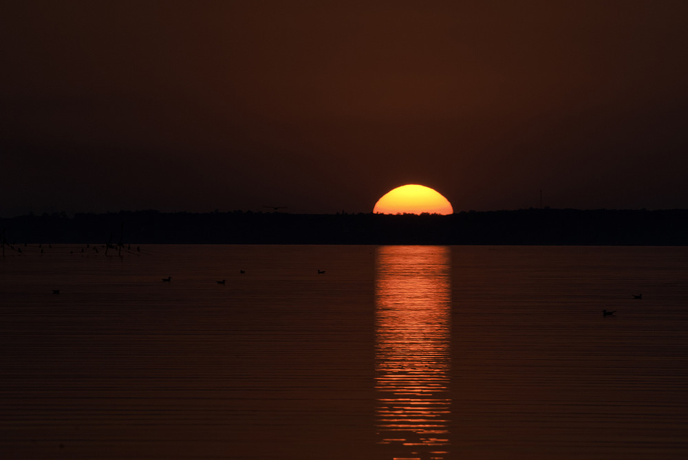 Фотографія Солнце с небом прощалось... / Павлюк Александр / photographers.ua
