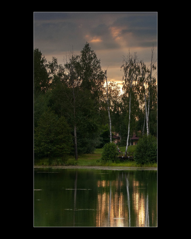 Фотографія Низкое солнце / Павлюк Александр / photographers.ua