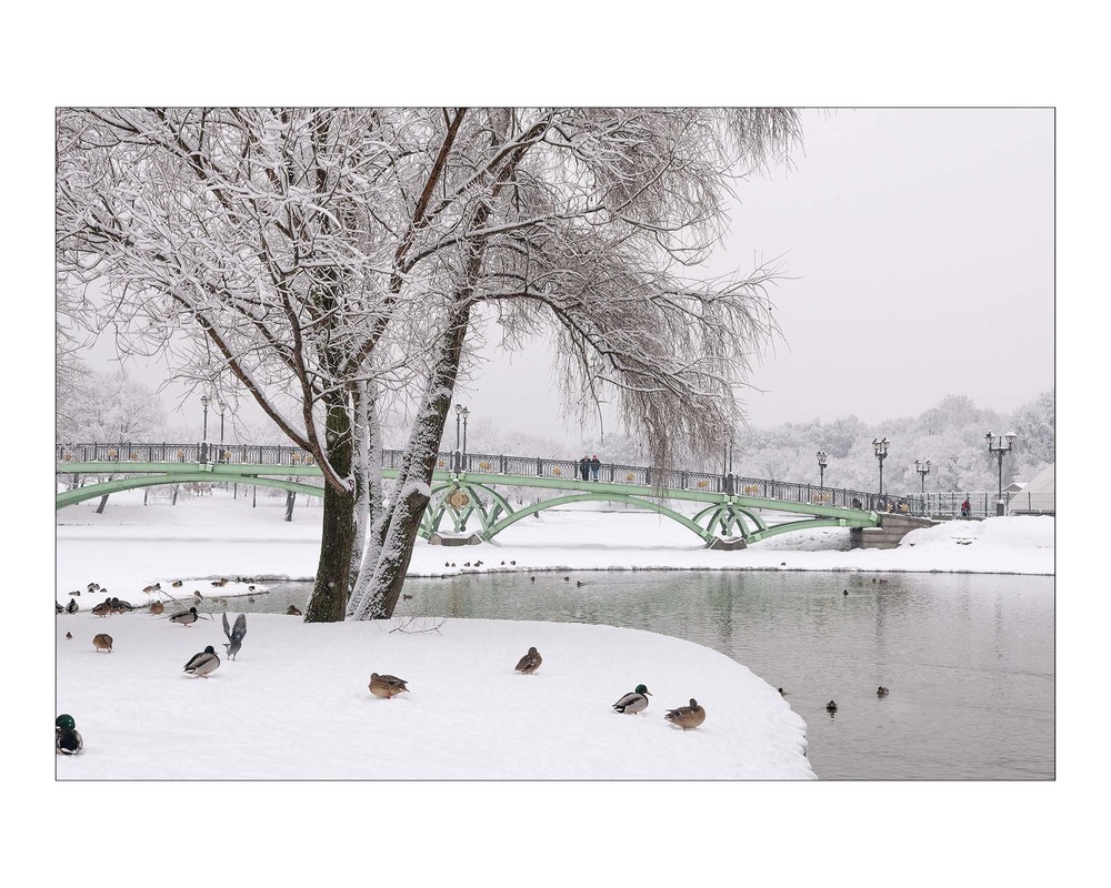 Фотографія Про зиму / Павлюк Александр / photographers.ua