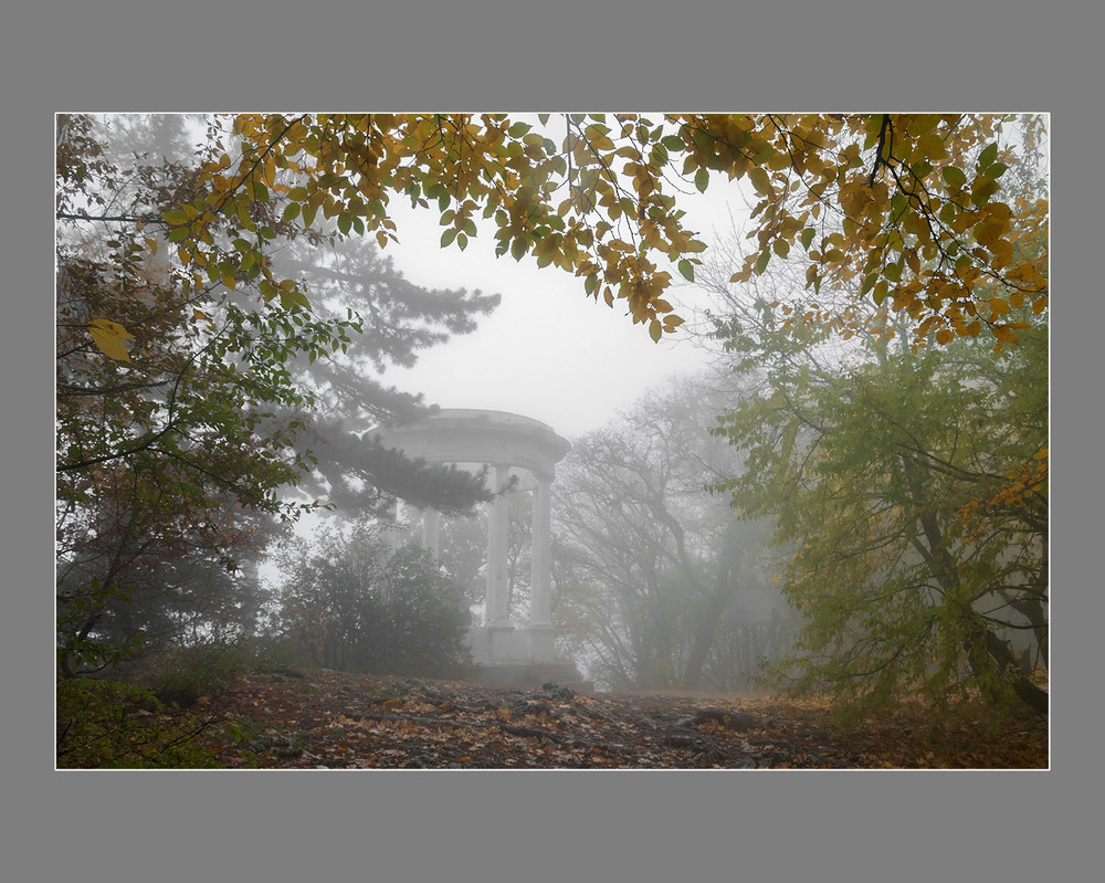 Фотографія Осень туманная / Павлюк Александр / photographers.ua