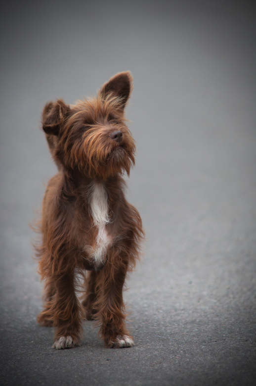 Фотографія ...Дружбан... / Михаил Мочалов / photographers.ua