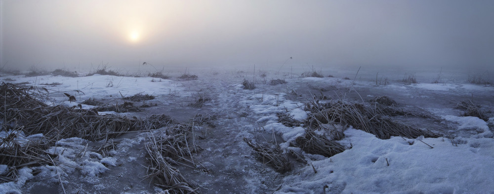 Фотографія камышово-туманное утро ... / Михаил Мочалов / photographers.ua