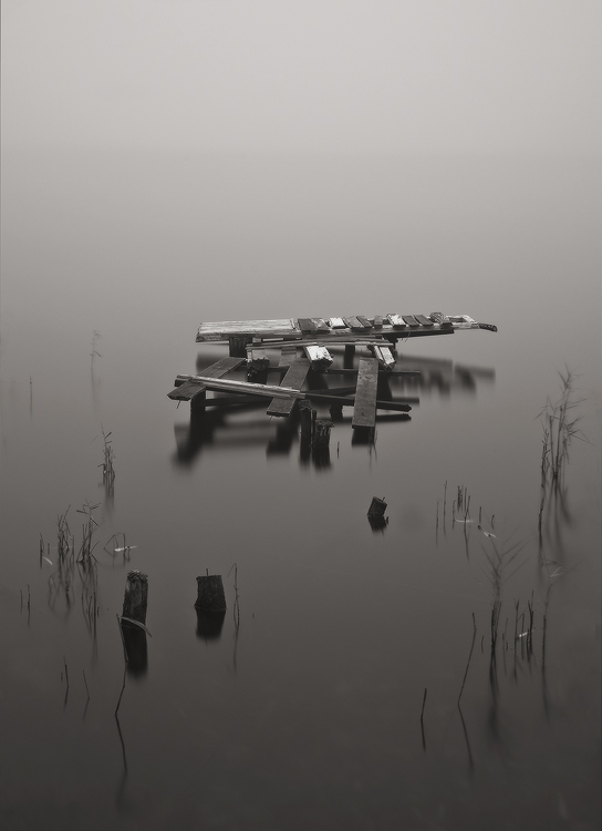Фотографія ... catch the mist ... / Михаил Мочалов / photographers.ua