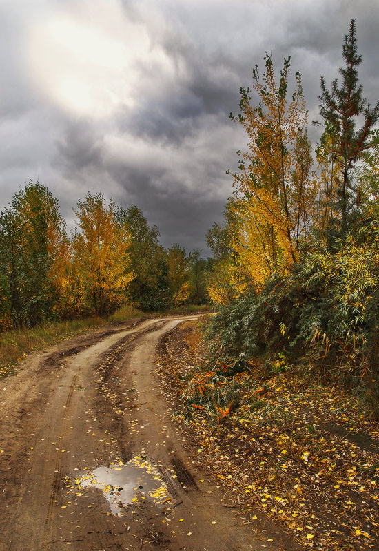 Фотографія осенними дорогами... / Михаил Мочалов / photographers.ua