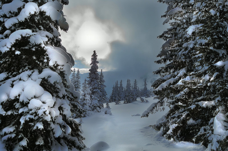 Фотографія /// / Михаил Мочалов / photographers.ua