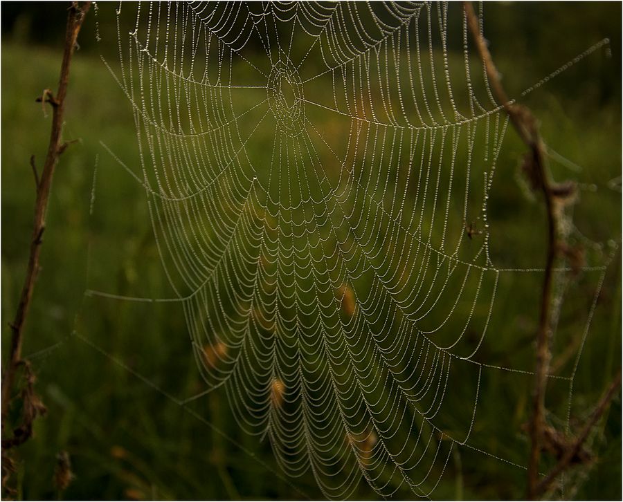 Фотографія Пейзаж / Татьяна_М / photographers.ua