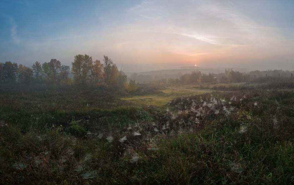 Фотографія Осень в царстве пауков / Олег Кругляк / photographers.ua