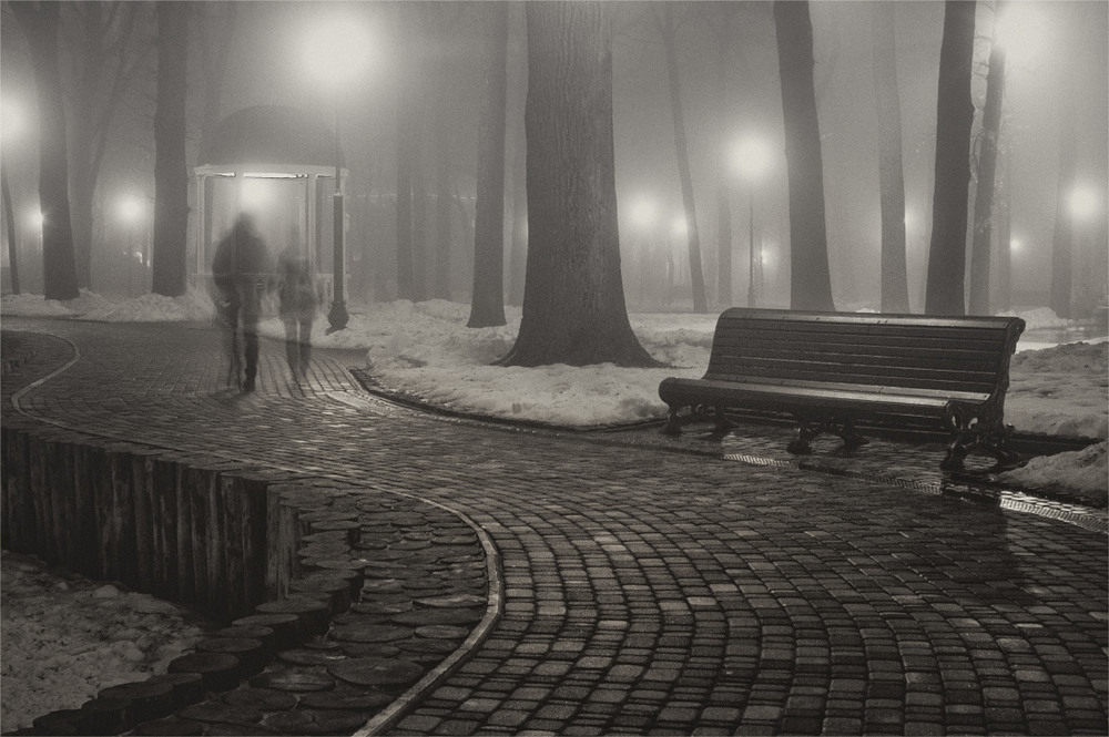 Фотографія Растворяясь в тумане / Олег Кругляк / photographers.ua