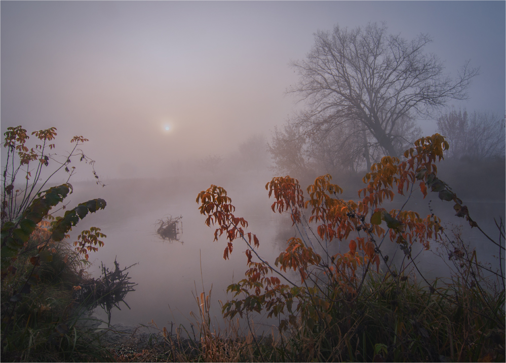 Фотографія Солнце восходит на реке Уды в октябре / Олег Кругляк / photographers.ua