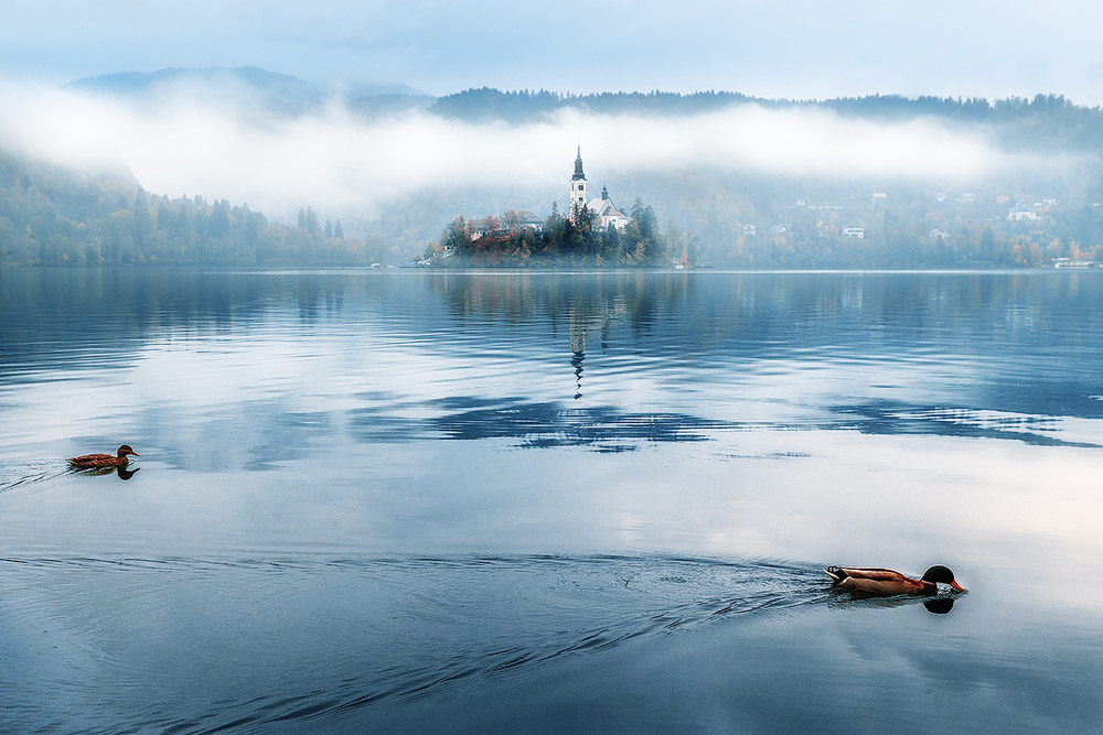 Фотографія Озеро Блед, Словенія. / Ihor Burbela / photographers.ua