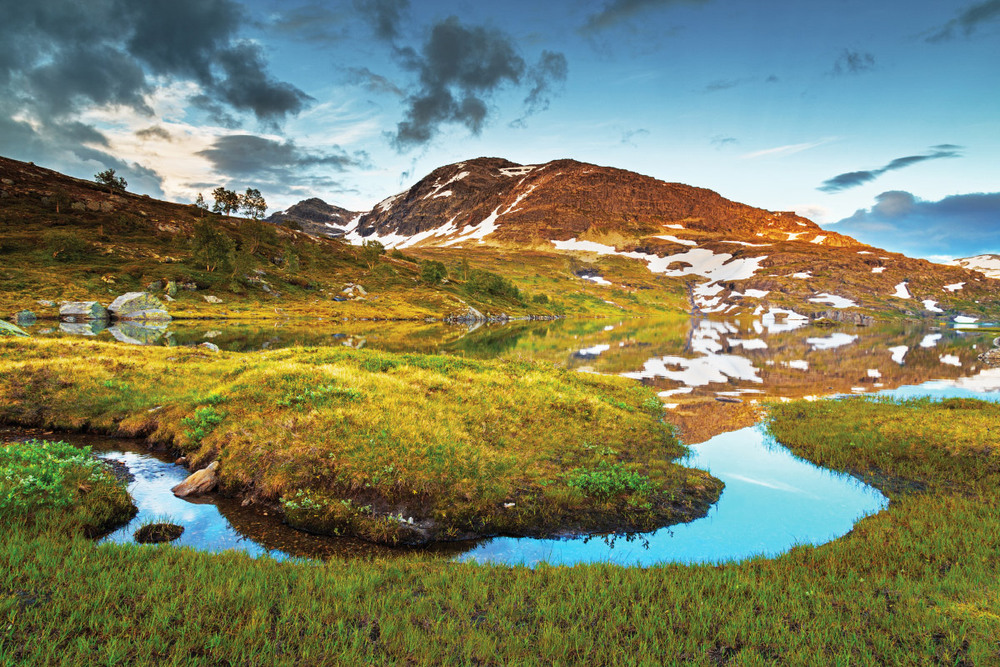 Фотографія Hardangervidda national park, Norway / Ihor Burbela / photographers.ua