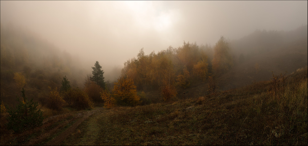 Фотографія Мандри до туманного лісу / Roman Stativka / photographers.ua