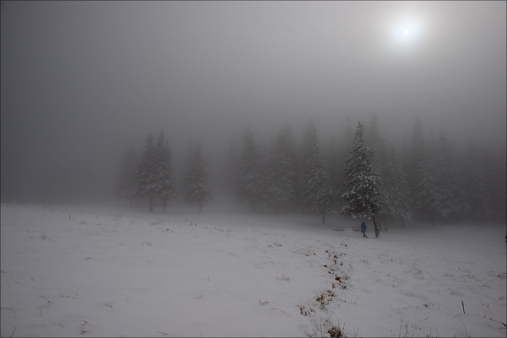 Фотографія Пейзажист в тумане / Roman Stativka / photographers.ua