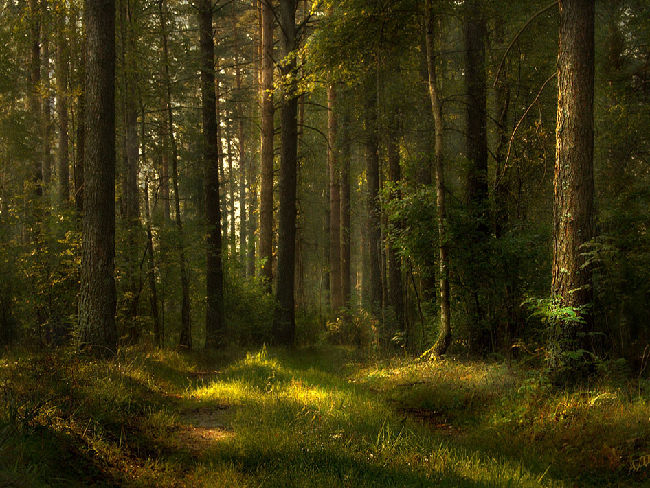 Фотографія Пейзаж / Алексей Аверин / photographers.ua