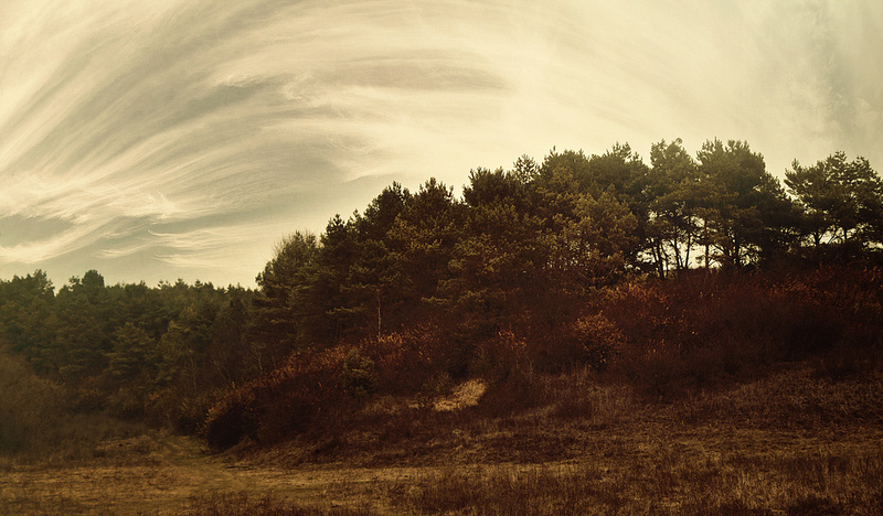 Фотографія Пейзаж / Ihor Bilyk / photographers.ua