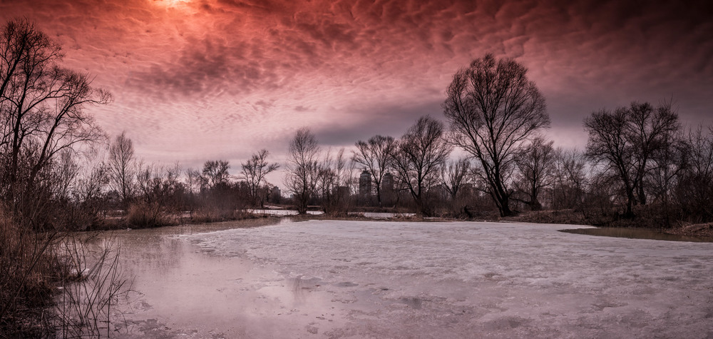 Фотографія Зимний закат / Sergey Slonitskyi / photographers.ua