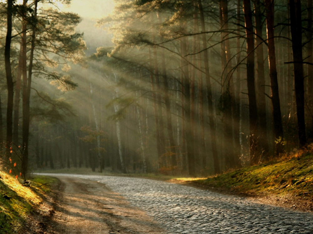 Фотографія Пейзаж / Геннадий Мягков / photographers.ua