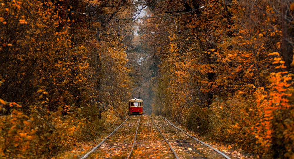Фотографія Пущинский трамвай и осень / jDtnt / photographers.ua