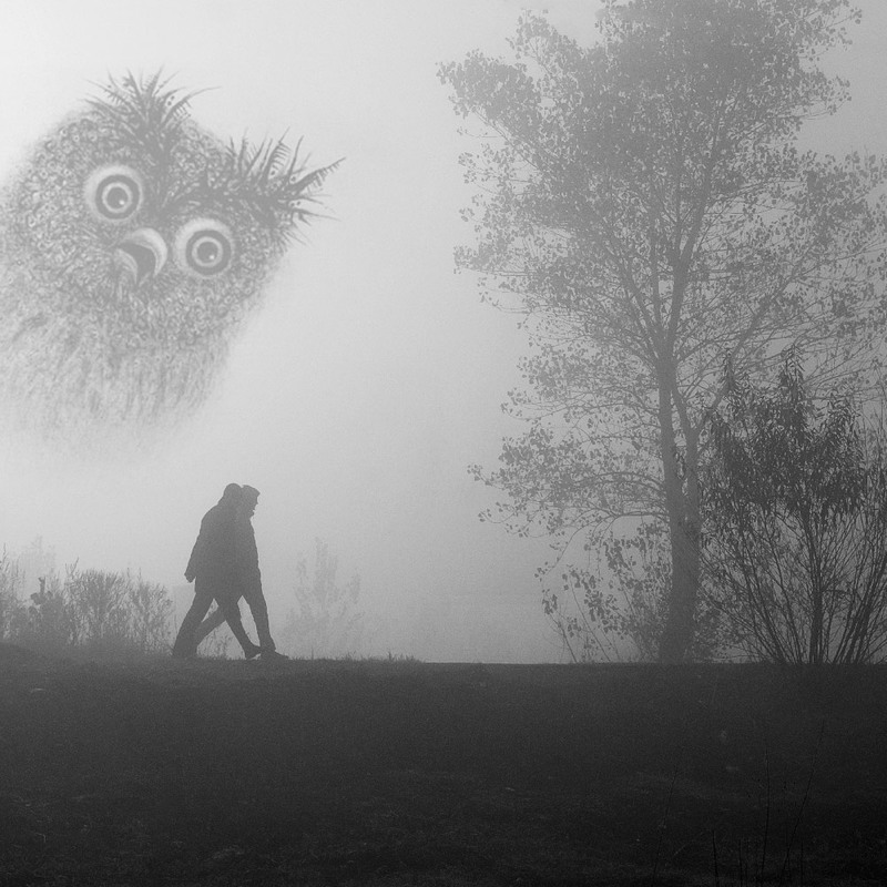 Фотографія В поисках ёжика в тумане / jDtnt / photographers.ua