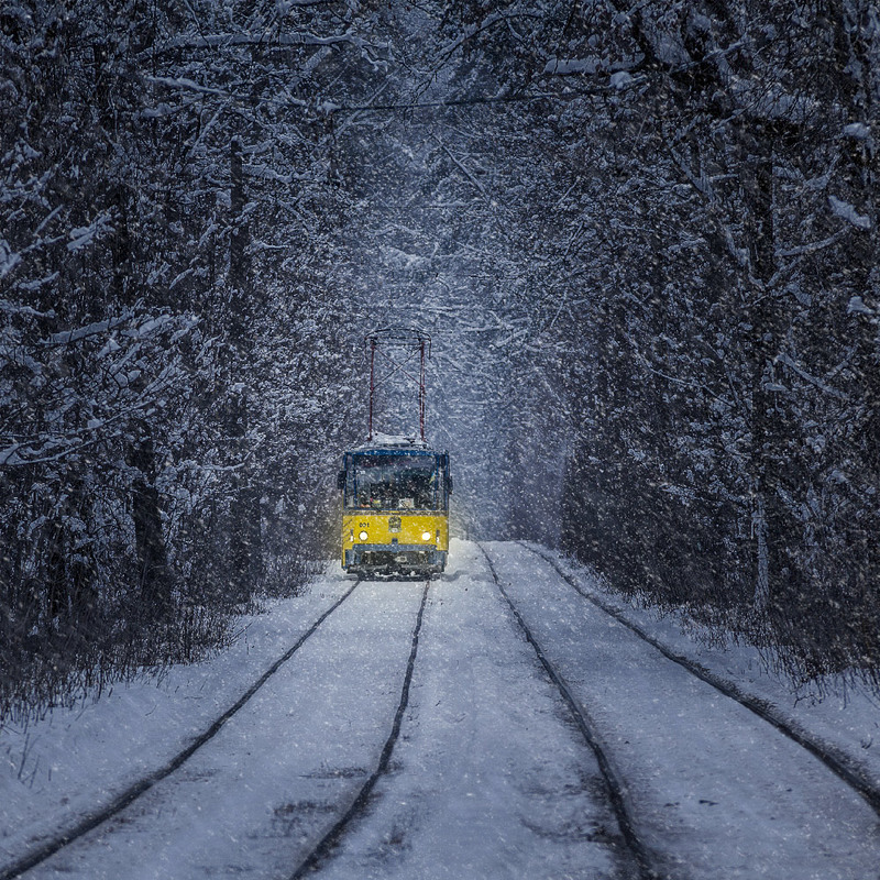 Фотографія Лес, трамвай и стук колёс / jDtnt / photographers.ua