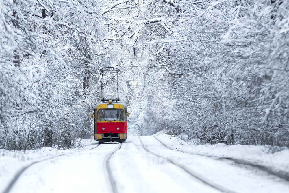 Фотографія Сквозь зимний лес на новогодниый праздник / jDtnt / photographers.ua