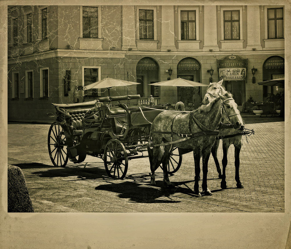 Фотографія а в Одесі на Приморському бульварі.... коні / Tanya K / photographers.ua