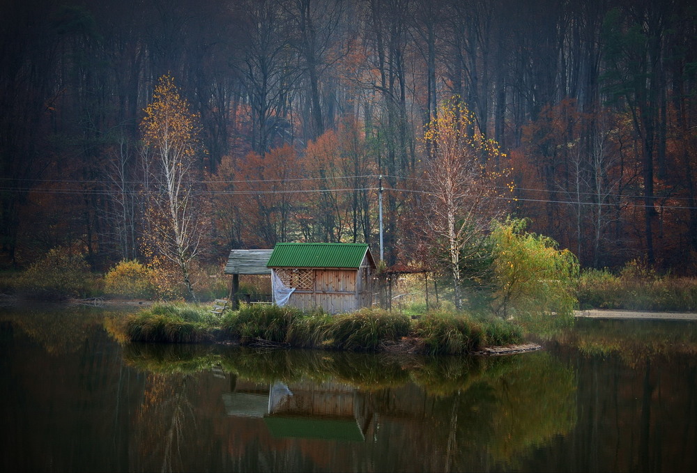 Фотографія Осенний уют / Алена Гарастей / photographers.ua