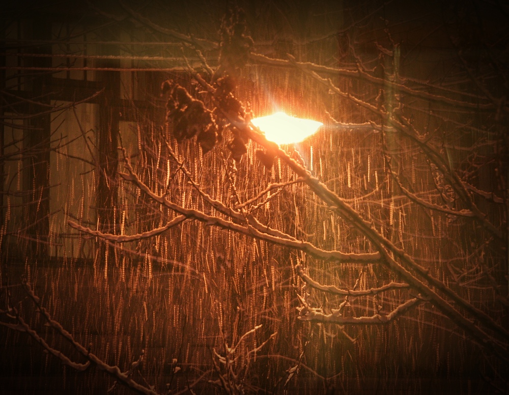 Фотографія Ночь, снег, фонарь и окно напротив... / Алена Гарастей / photographers.ua