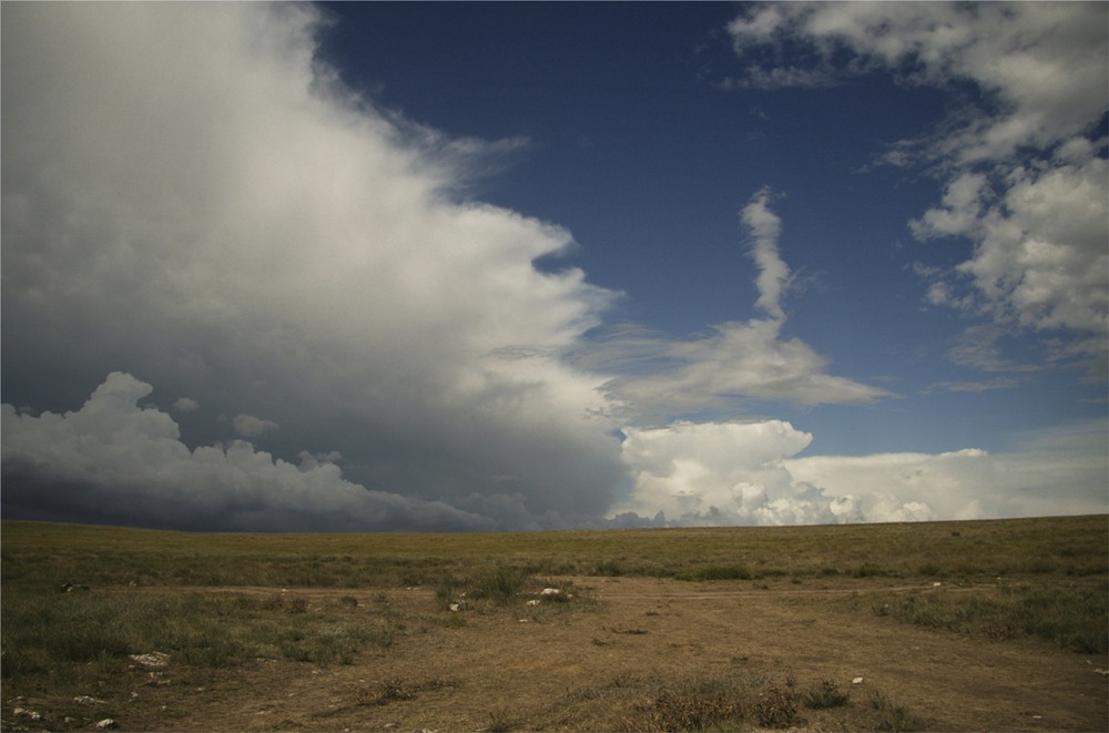 Фотографія Облака, дороги... Степь! / Алена Гарастей / photographers.ua