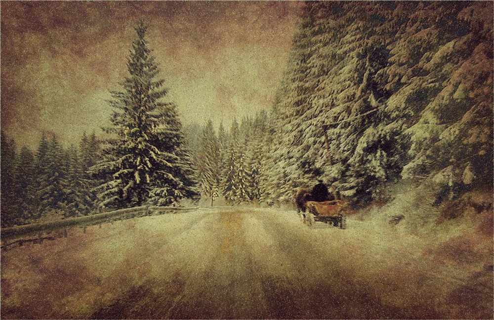 Фотографія Рождественская картинка / Алена Гарастей / photographers.ua