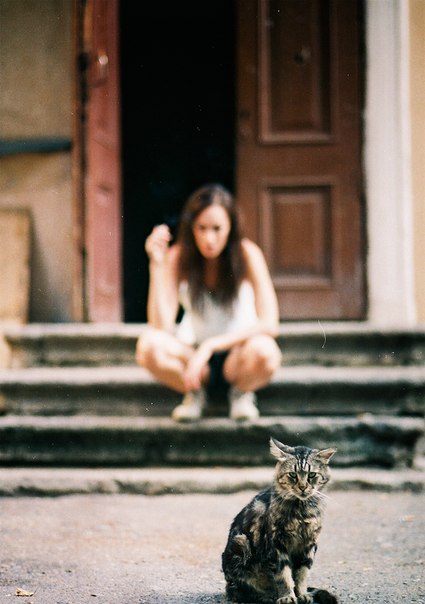Фотографія "I am a Cat" / Роксана Конюк / photographers.ua