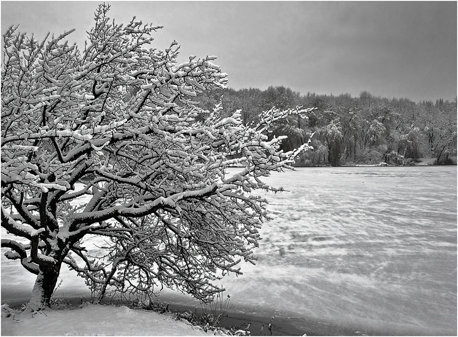 Фотографія О зиме... / Александр Батурский / photographers.ua