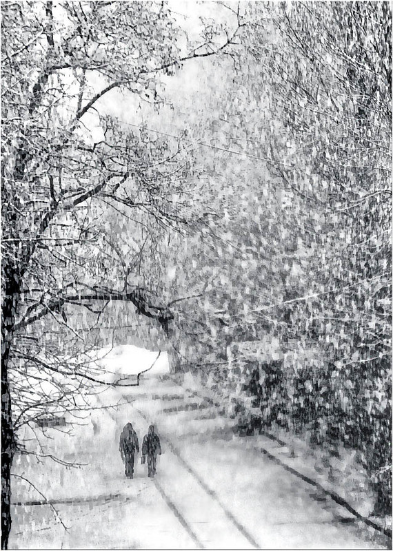 Фотографія Снегопад / Александр Батурский / photographers.ua